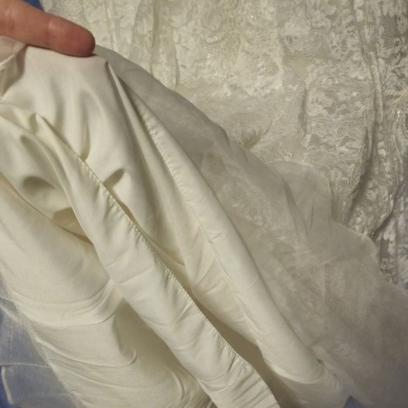 David's Bridal Jewel: Ivory Lace Trumpet Mermaid Sparkle Dress Size 14 - Picture 8 of 9